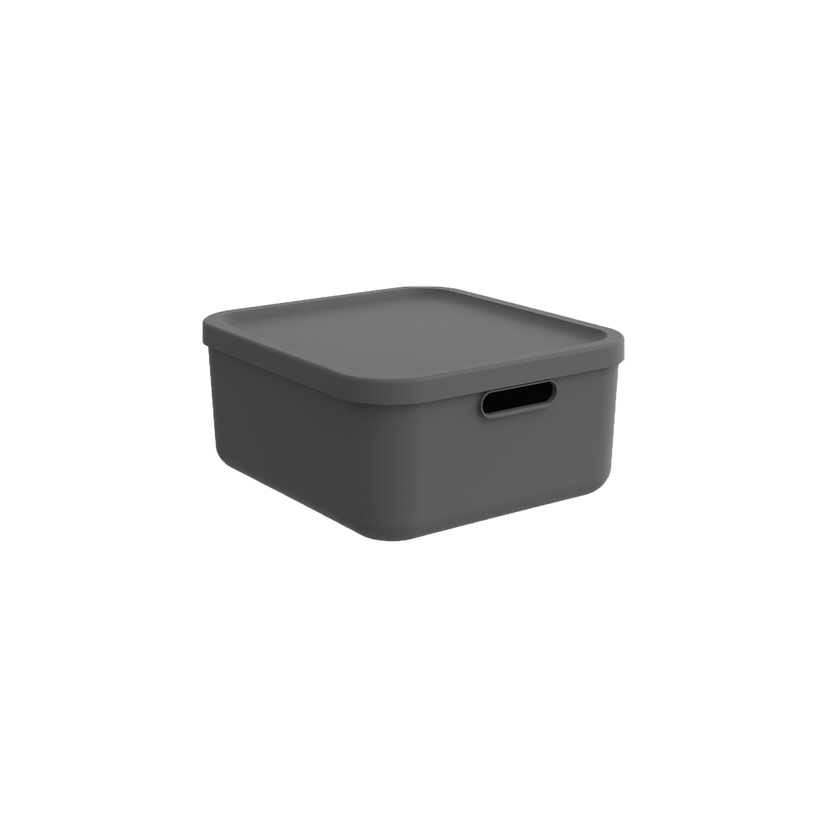 Hoiukast kaanega ALBULA 20L, 39,5×35,5×17,7cm, antratsiit