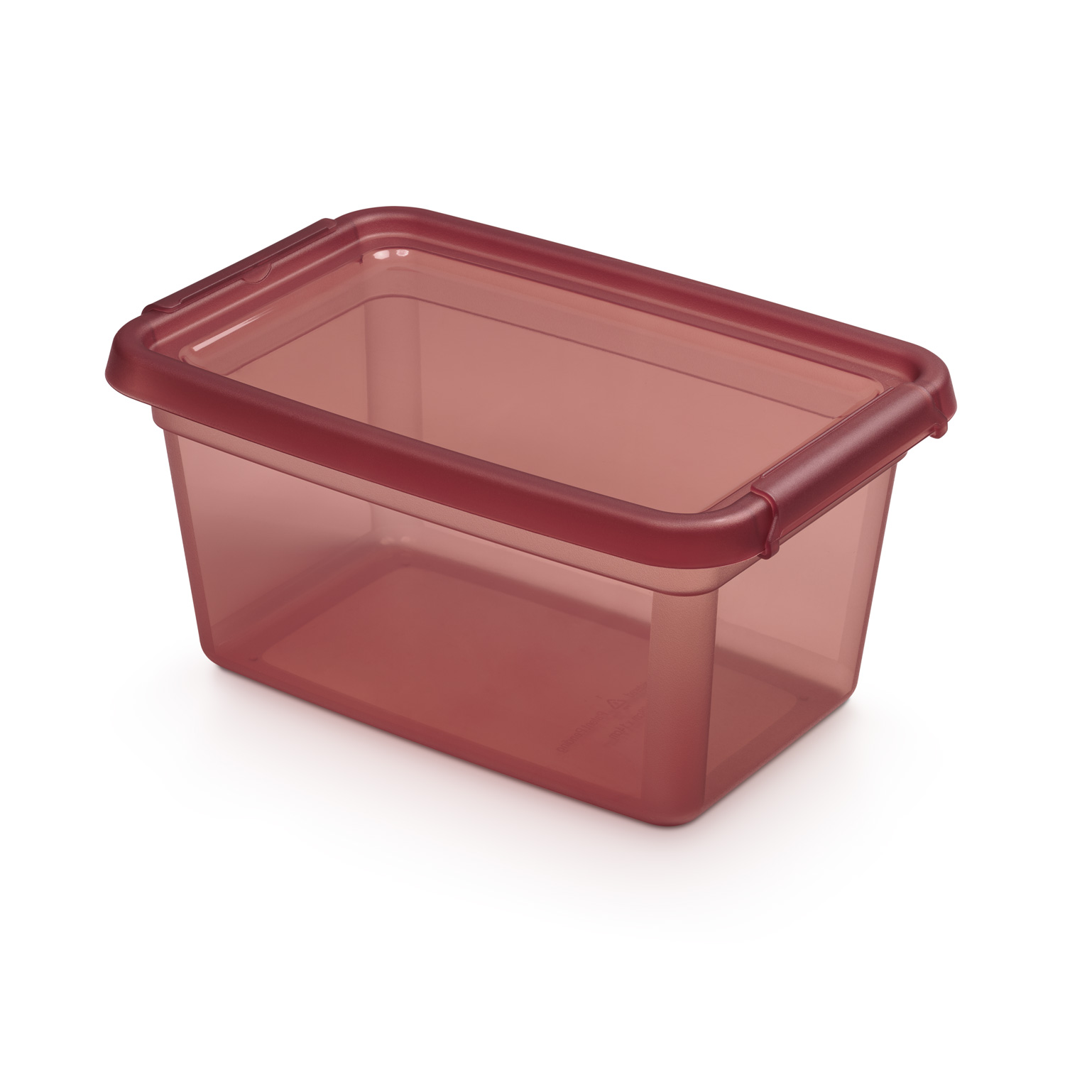 Hoiukast BaseStore 4,5L, 19x28xh13cm roosa