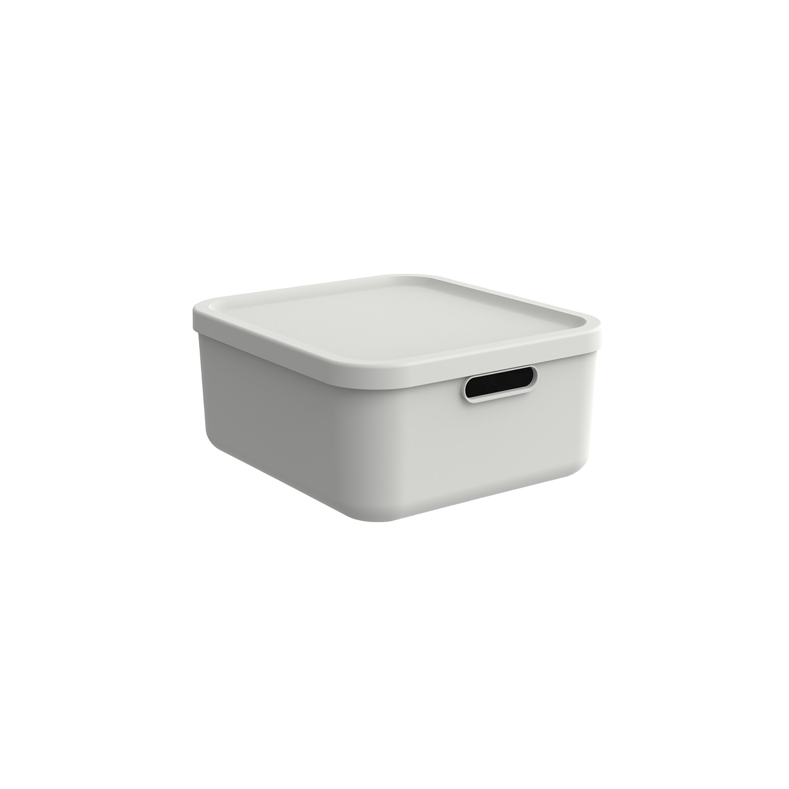 Hoiukast kaanega ALBULA 20L, 39,5×35,5×17,7cm, valge