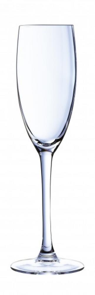 Vahuveiniklaas cabernet tulip 16cl