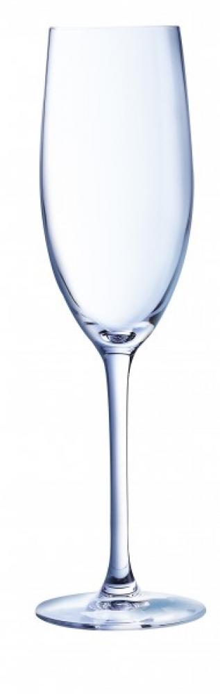 Cabernet tulip šampusepokaal 24cl