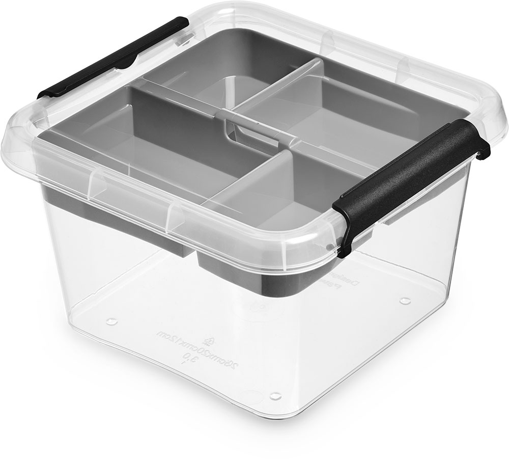 Hoiukast SimpleStore organisaatoriga 3L, 20x20x12cm